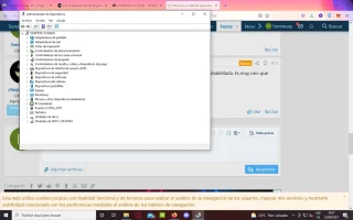 Captura de pantalla (7).webp