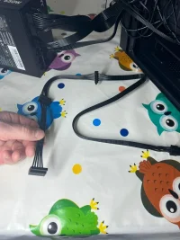 WhatsApp Image 2023-02-19 at 12.00.56.webp