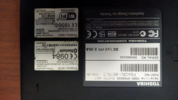 368503279_239843725193074_8755146292239817284_n.jpg