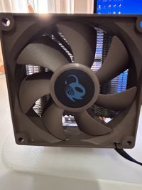 IMG_3956.jpeg