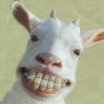 TompsonHormiga