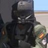 GrayFox